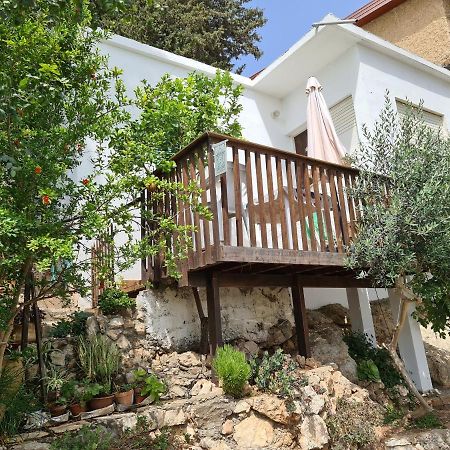 The Artist'S House Overlooking The Bay Of Haifa Exteriér fotografie