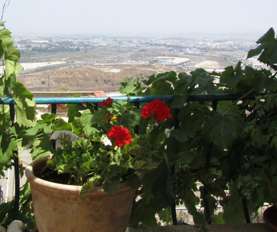The Artist'S House Overlooking The Bay Of Haifa Exteriér fotografie